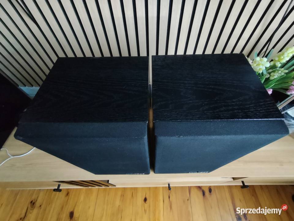 Kolumny stereo PIONEER CS X2 made in JAPAN Gostynin