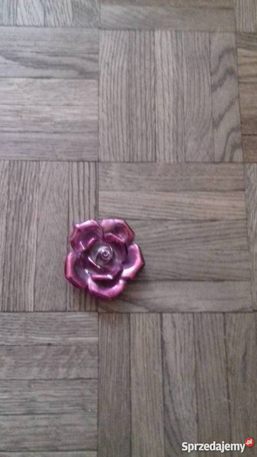 Roża odcienie różowego Gdańsk