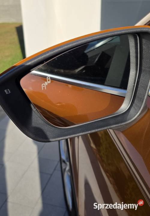 Seat ateca salon Polska kurtyny powietrzne dolnośląskie Koźlice