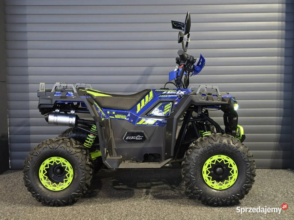 ASIX Inny Nowy Model ASIX GRIZZLY 125 610 lat Stare Miasto
