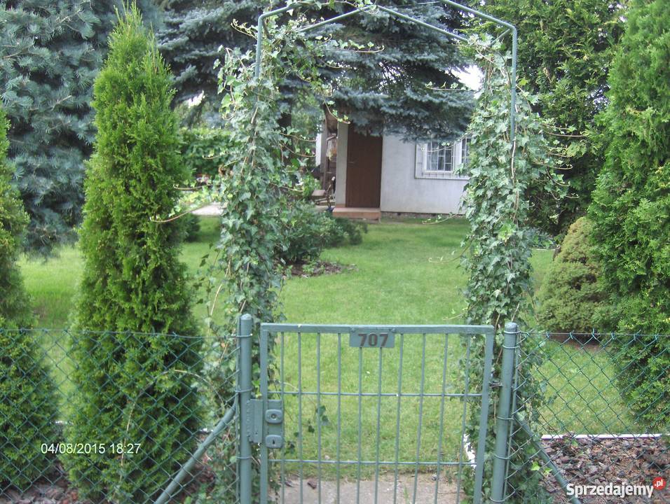 sprzedam działkę ROD Złotowska Poznań