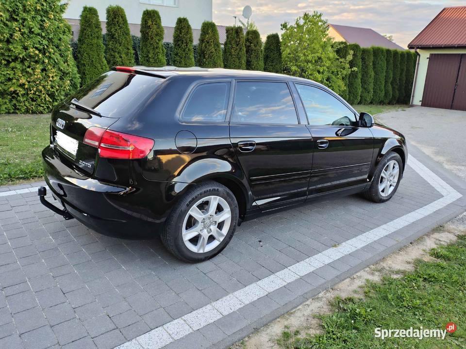Audi A3 8p 2009 Opatów