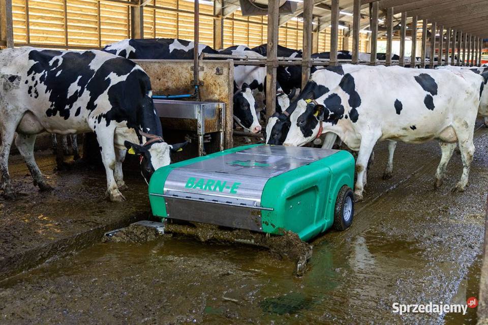 Robot sprzątający JOZ Barne do gnojowicy Lasocice