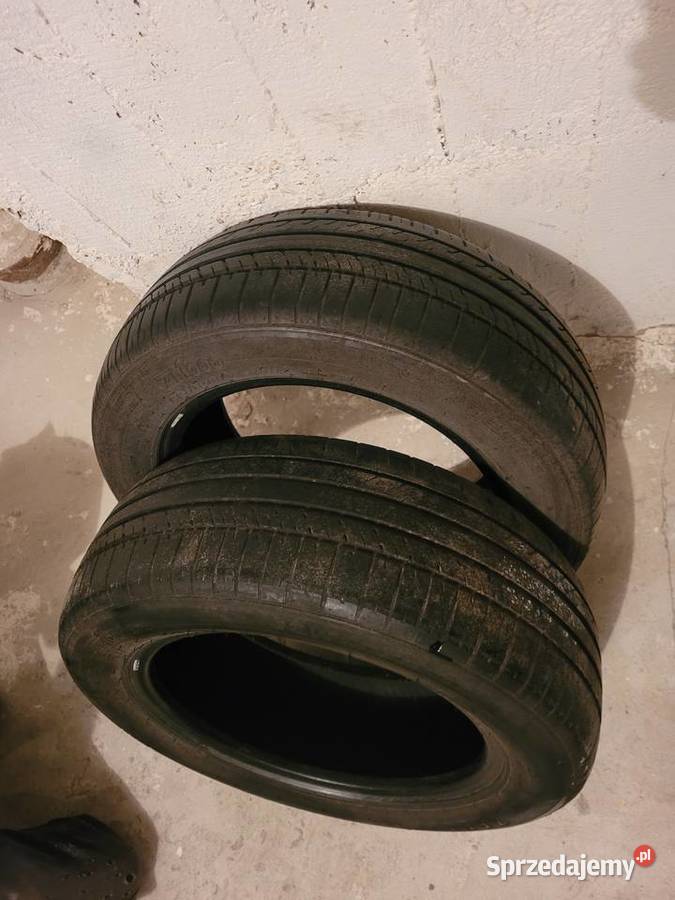 zeetex 1956015 215 555 mm 2 60