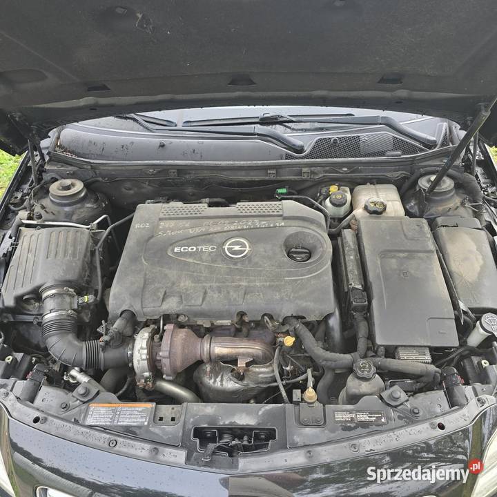 Opel Insignia 20 160 2011r Bogate Wyposażenie Dębice