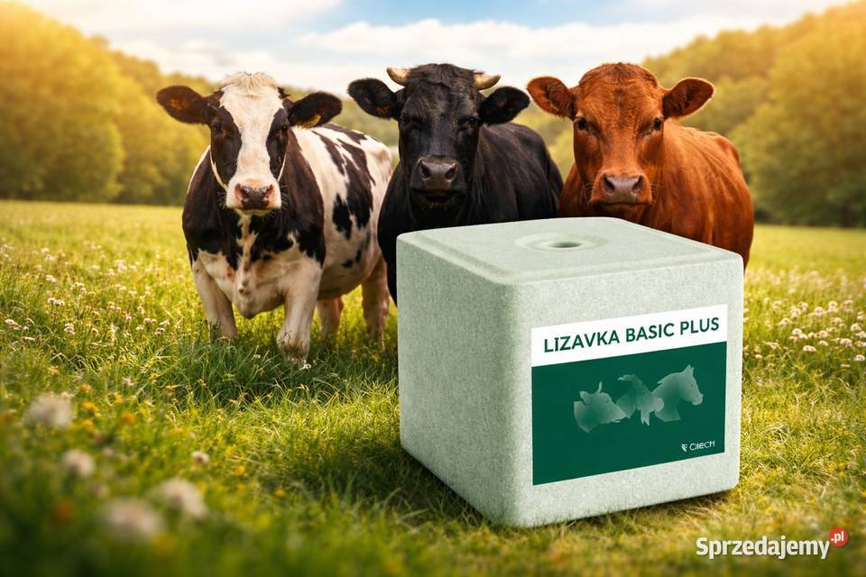 Lizawka solna zielona bydłokrowy CIECH paleta warmińsko-mazurskie Olsztyn