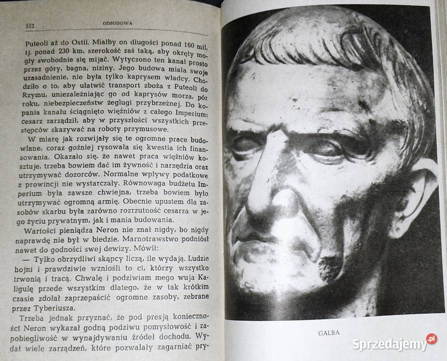 Neron Aleksander Krawczuk Chełm