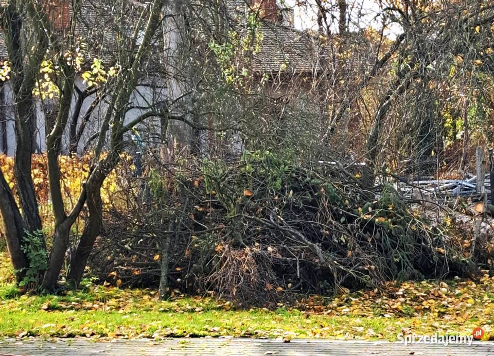 Drewno owocowe gałęzie świerkowe oddam śląskie Katowice