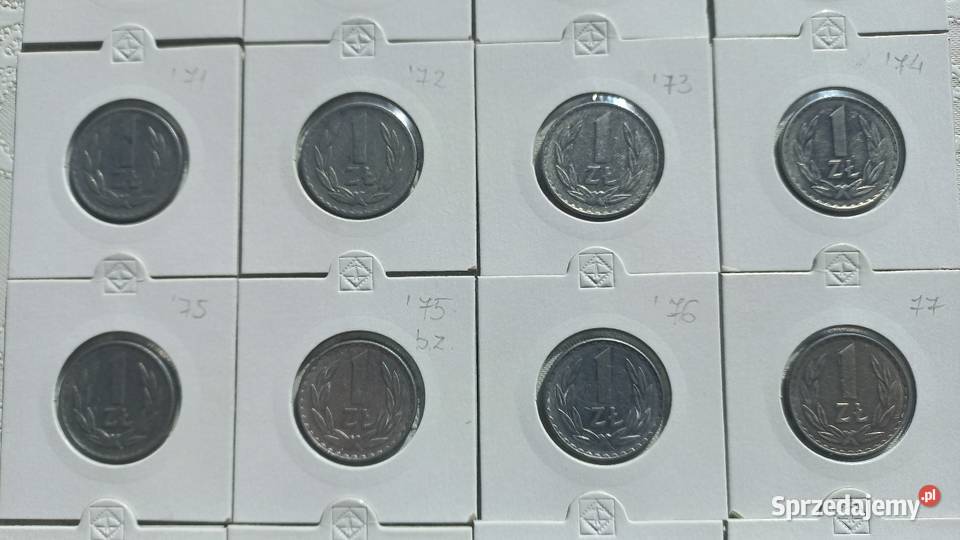 1 złoty PRL wszystkie roczniki aluminiowe małopolskie Trzebinia