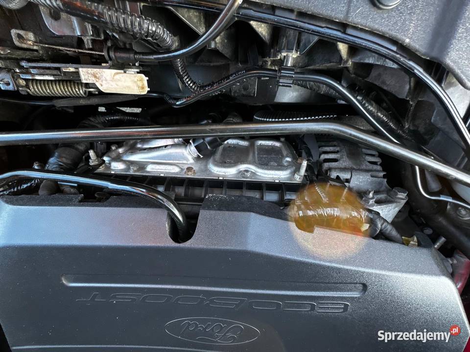 Kuga Super Stan Na Gwarancji Forda Pierwszy Gdów