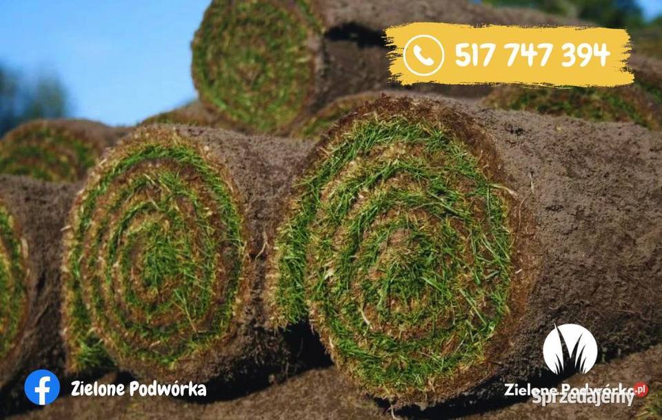Trawa w rolce Trawnik rolowany Dostawa Tarnowskie Góry sprzedam