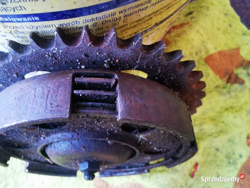 Ryś sprzęgło wielkopolskie Leszno