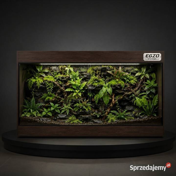 Terrarium profesjonalne boa cesarskiego Rybnik
