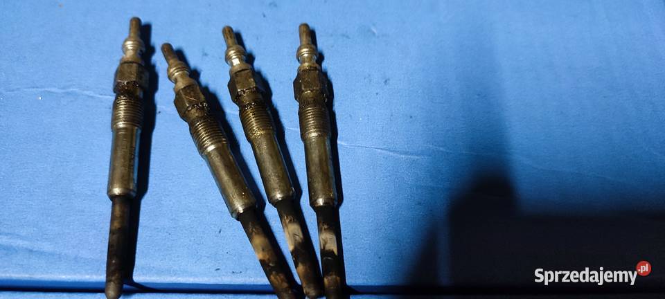 Świece żarowe 19 TDI Przeworsk