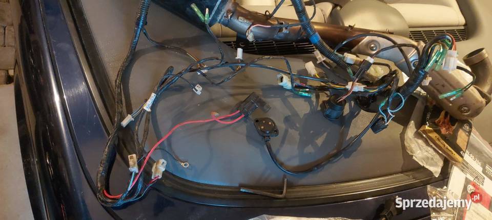 Silnik Access Lucky Star 450 Legionowo sprzedam