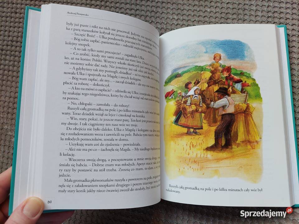 Podwodny świat Dzikiej Mrówki Andrzej Perepeczko Książki dla dzieci