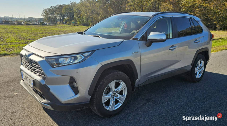 Toyota RAV4 25 hybrid V 2018 automatyczna wielkopolskie