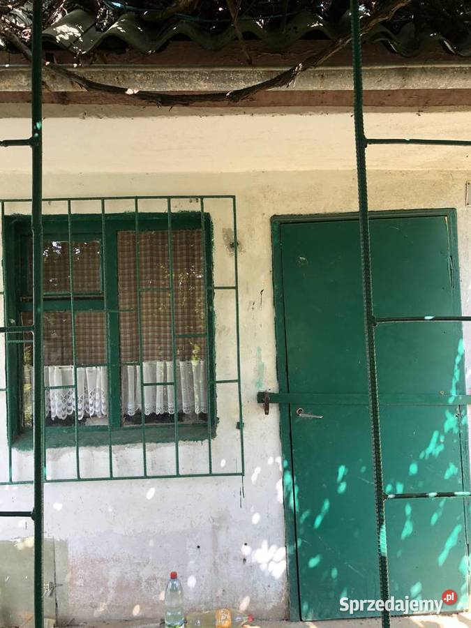 Odstapie ogródek ROD w Nowym Dworze Gdańskim Nowy Dwór Gdański sprzedam