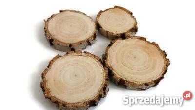 plastry drewna brzoza gruba kora 810 gr 2 odcienie brązowego