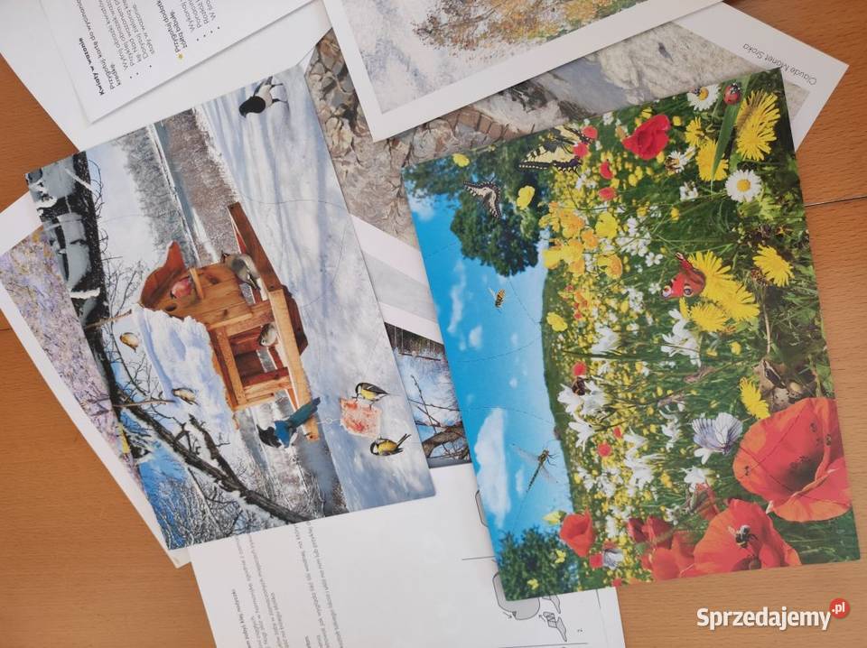 odkrywam siebie rozwija logiczne myślenie Kielce sprzedam