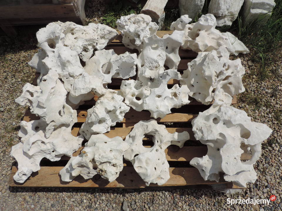 Wapień Filipiński Skała Bryła Biały Kamień Jaworzno