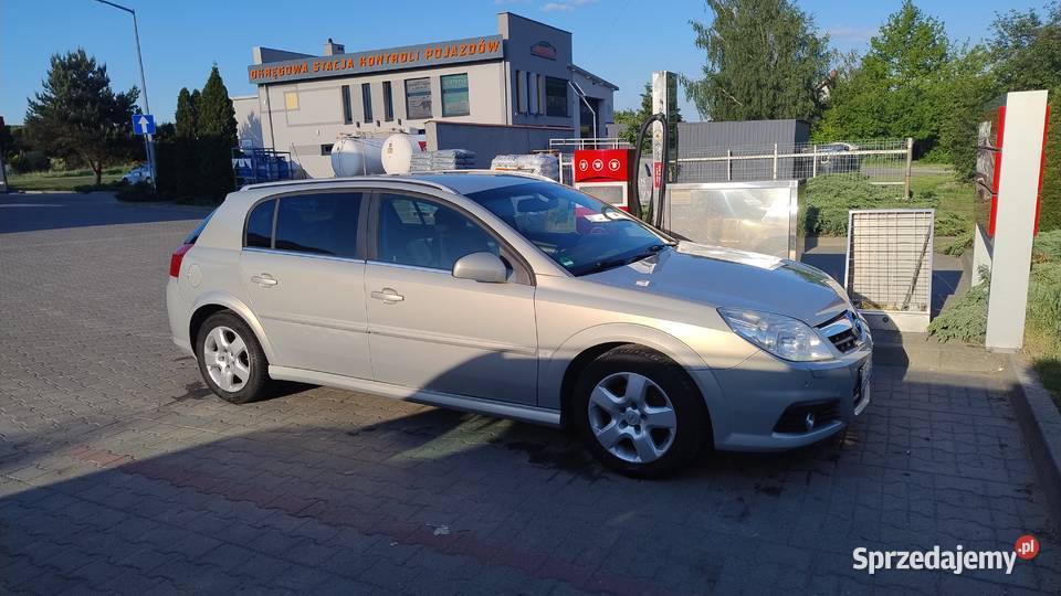 Opel Signum nieuszkodzony