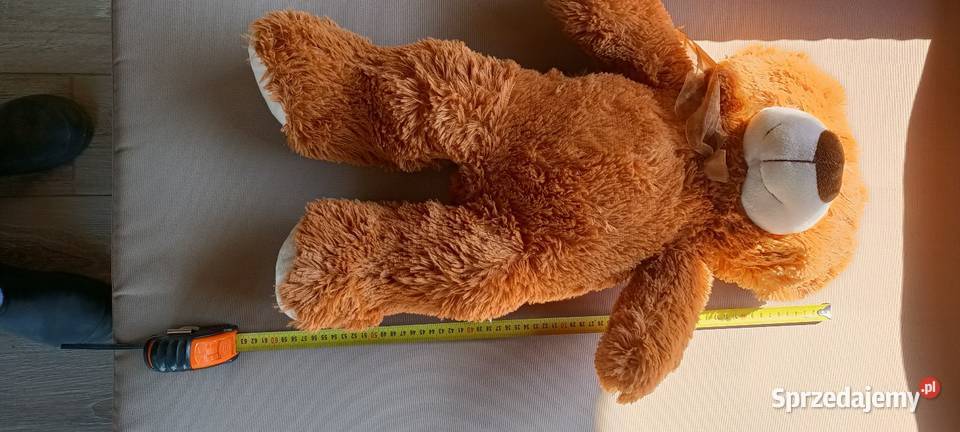 Maskotka miś Mirimoo kujawsko-pomorskie Włocławek