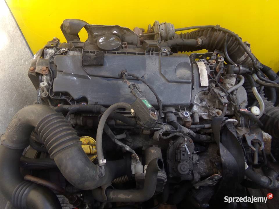 VIVARO TRAFIC PRIMASTAR 20 DCI EURO 5 12r 114 świętokrzyskie Suków