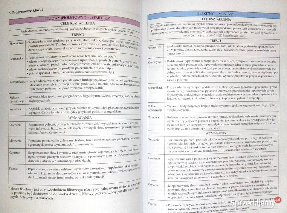 Program szkolny Klocki autonomiczne Katarzyna Książki i Podręczniki Chełm sprzedam
