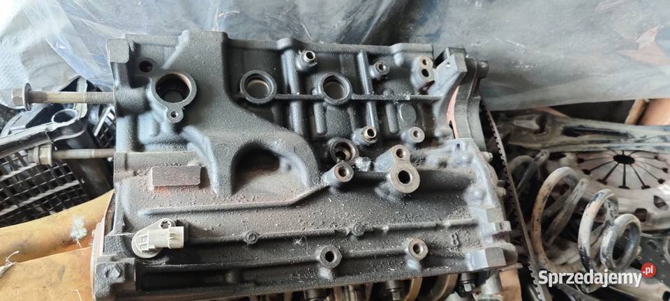 Blok silnika Opel Insignia 20 CDTI A20DTH Sandomierz