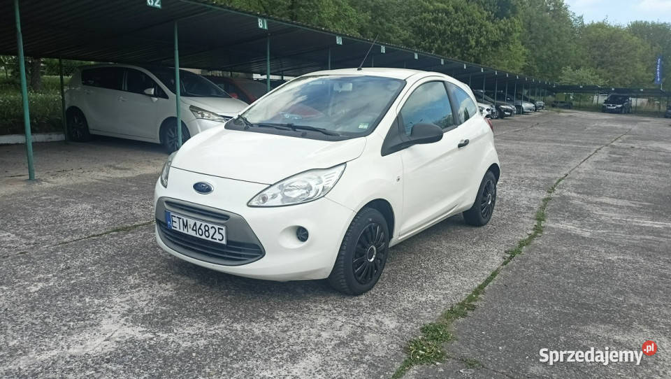 Ford KA zadbane serwisowane II 2008 immobilizer łódzkie Tomaszów Mazowiecki sprzedam