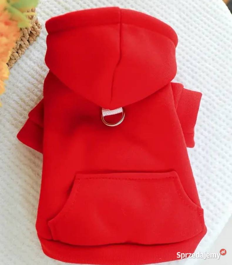 Czerwona bluza z kapturem małego pieska łódzkie Bełchatów