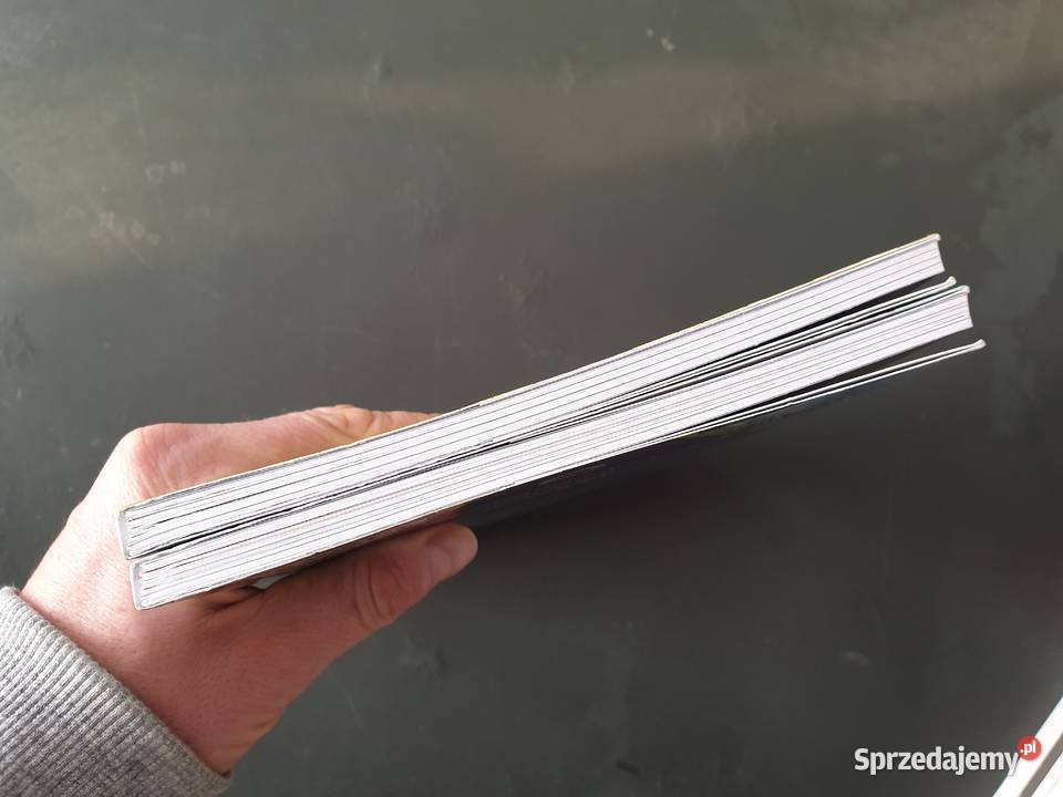 Rick and Morty tom 1 2 kredowy papier  Gdynia sprzedam