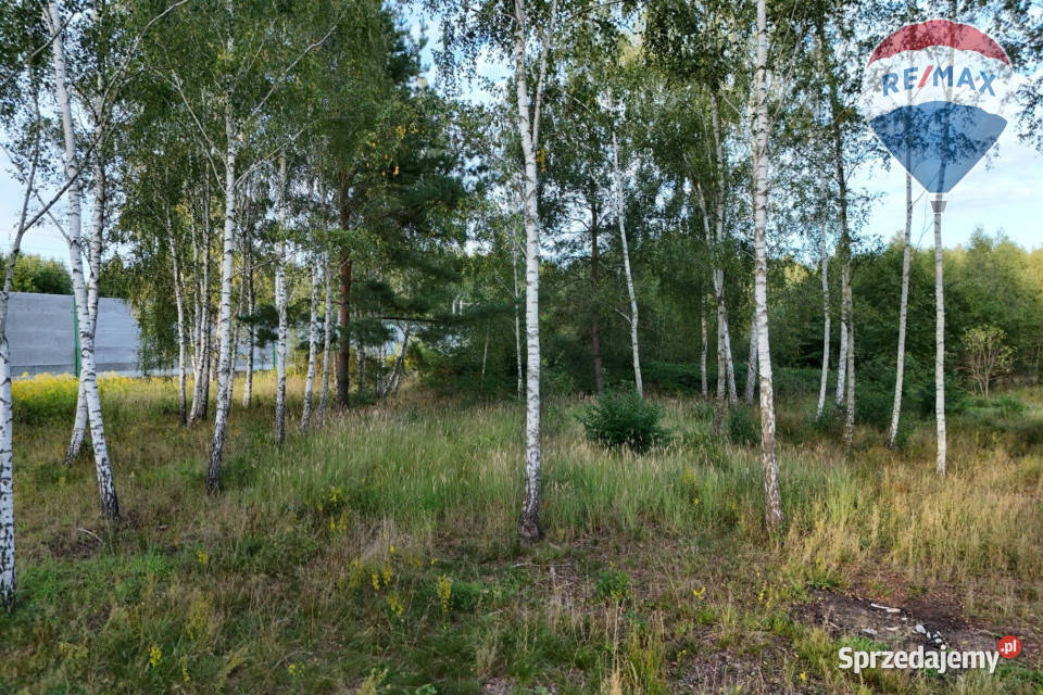 Działka budowlana 1200 m2 Jesionka gm Wiskitki mazowieckie