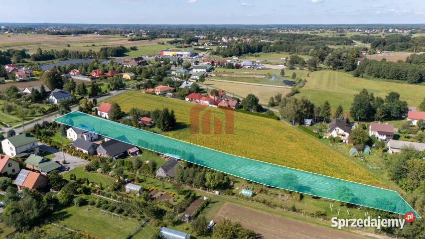 Grunt Sielec 3371m2
