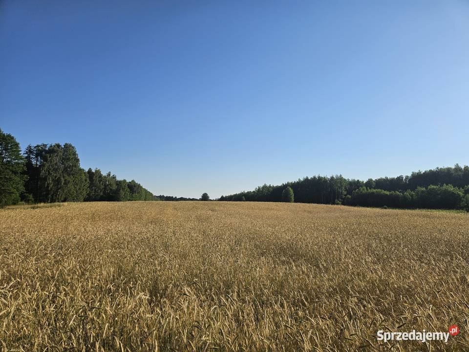 Sprzedam słomę z tegorocznych żniw Garwolin sprzedam