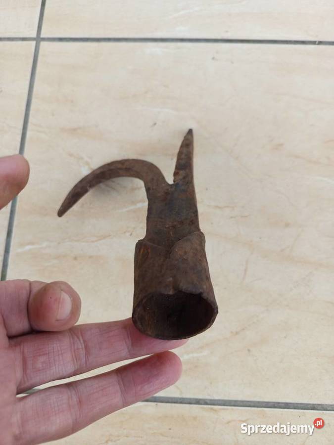 Bosak kuty łódzkie