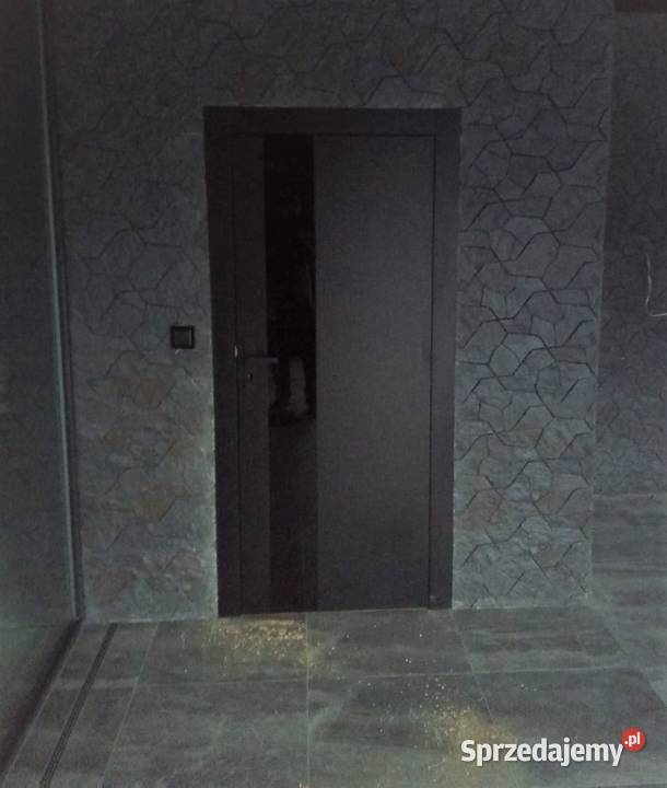 Drzwi Zewnętrzne Wejściowe Drewniane CZARNA Toruń