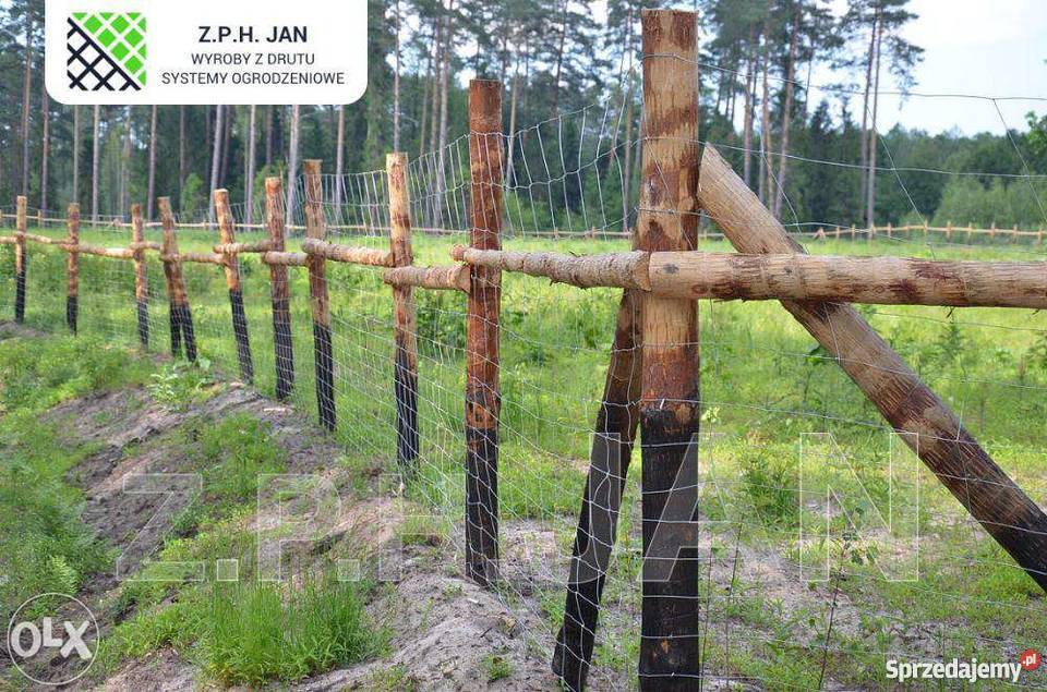 Siatka leśna 1501610 L 50mb skoble Ogrodzenia i bramy Biłgoraj