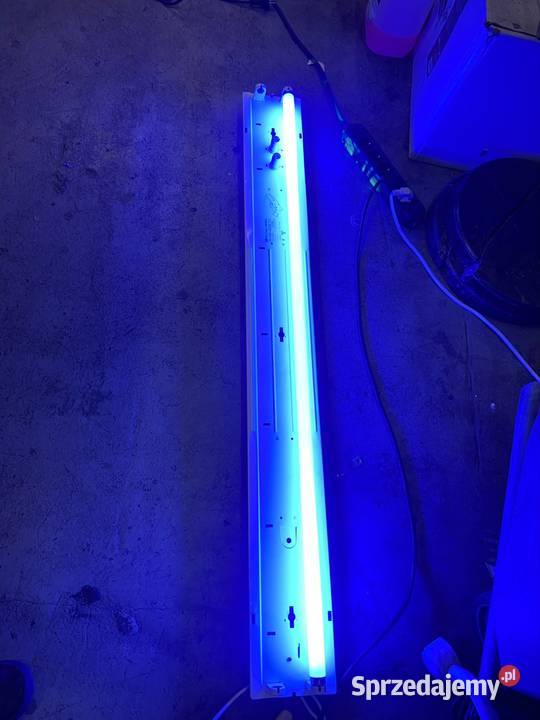 Świetlówki 36w 18 red i blue Philps TLD 18W15 mazowieckie Warszawa sprzedam