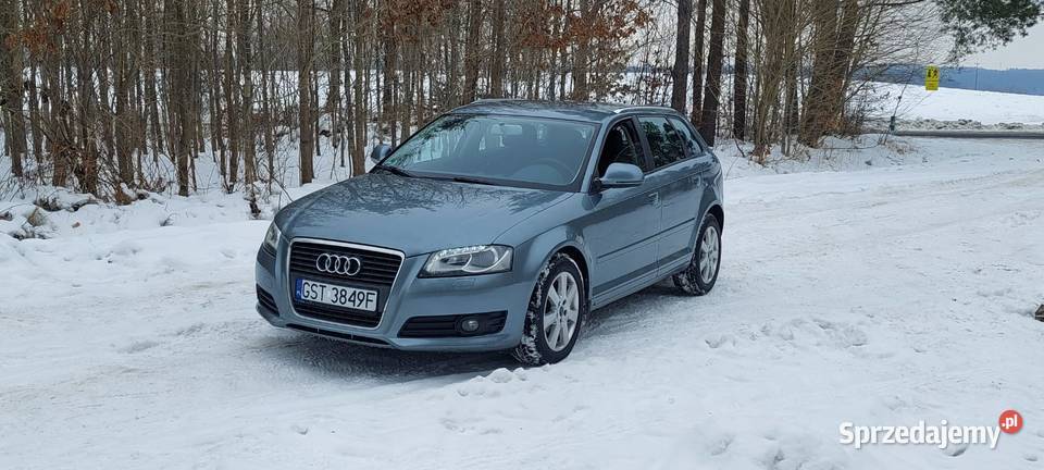 Audi a3 8p 2009r 20 tdi common rail 131 pomorskie Linowiec