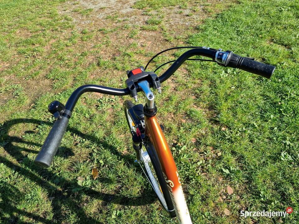 Rower Damka SENATOR 3 Biegów Niska Rama Koszyk Dzierżoniów