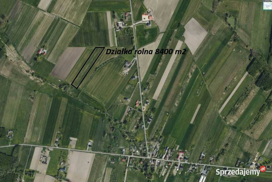 sprzedaży gruntu Wygiełzów 8400m2 Sprzedaż sprzedam