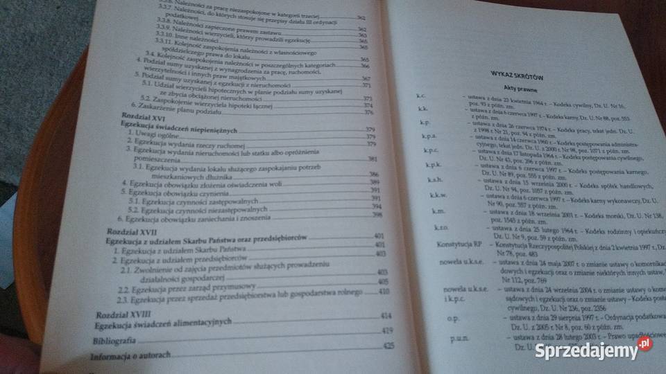 Wybrane zagadnienia egzekucji sądowej