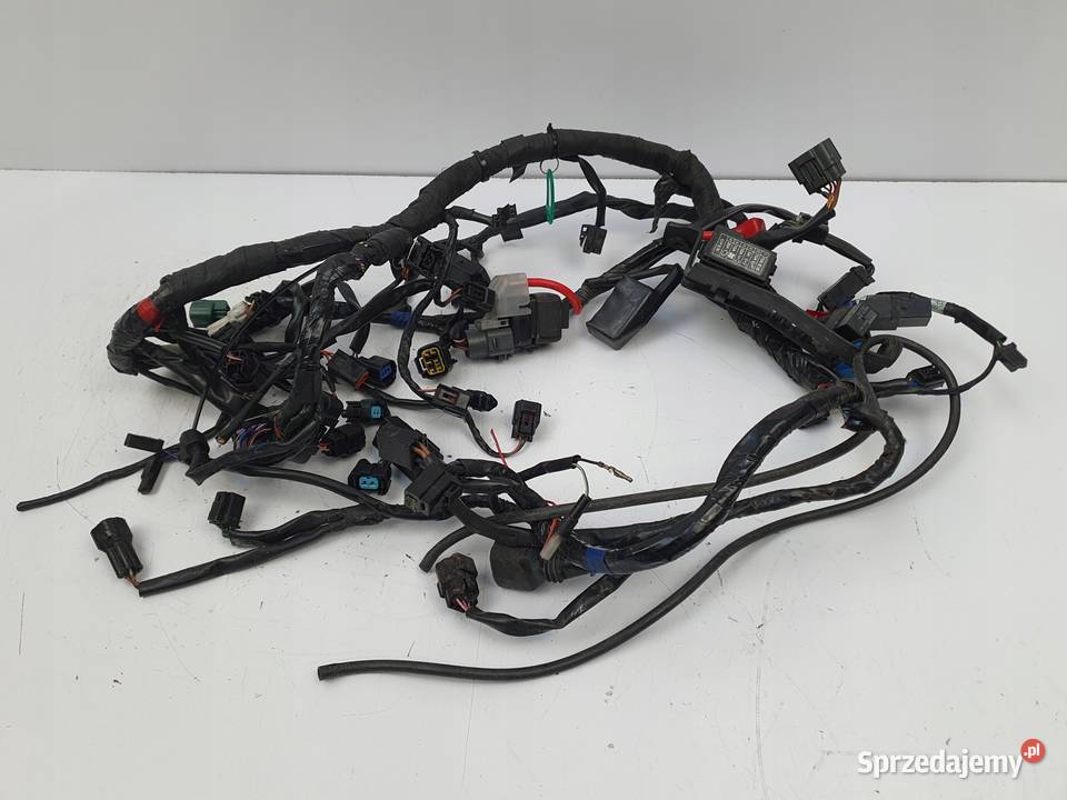 INSTALACJA WIĄZKA ELEKTRYCZNA Triumph Daytona R Chełm