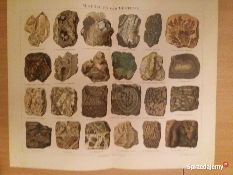 Stara niemiecka rycina z Meyers Lexikon z 1897 Antykwariat Jarosław