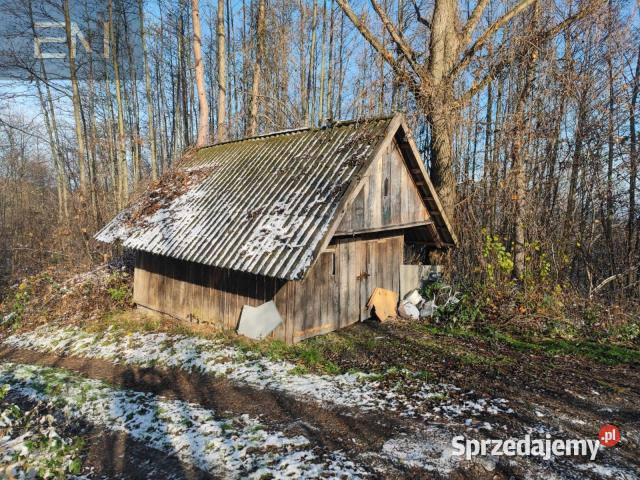 sprzedaży gruntu 6000m2 Babica