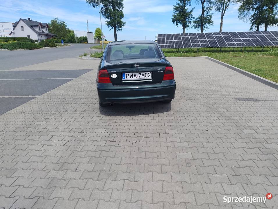 Sprzedam Opel Vectra b 99 16 benzyna ładna wielkopolskie Damasławek