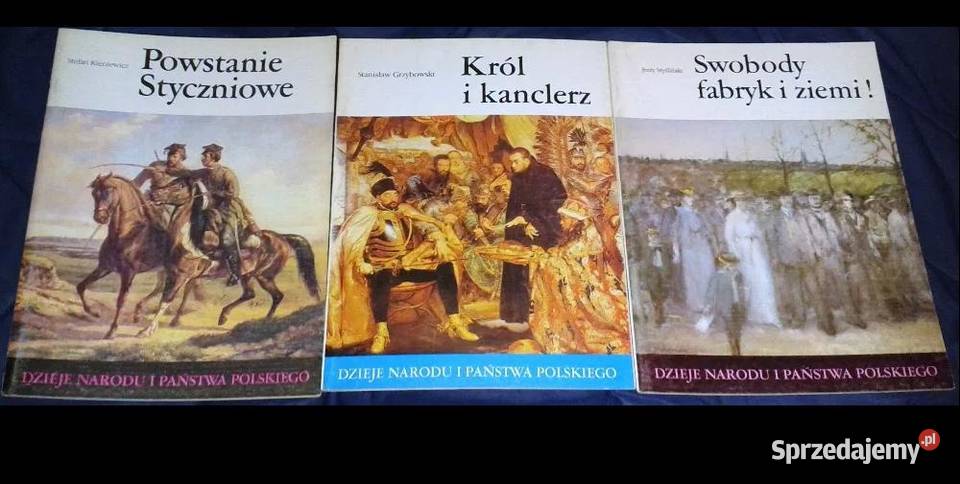 Dzieje Narodu i Państwa Polskiego 30 zeszytów Chełm