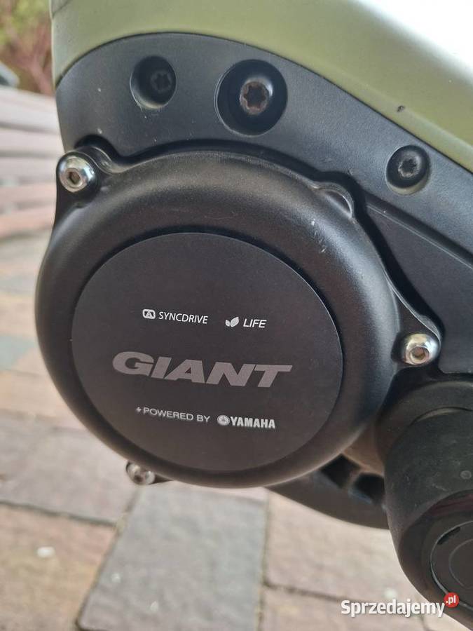 Rower damski Giant Wyry